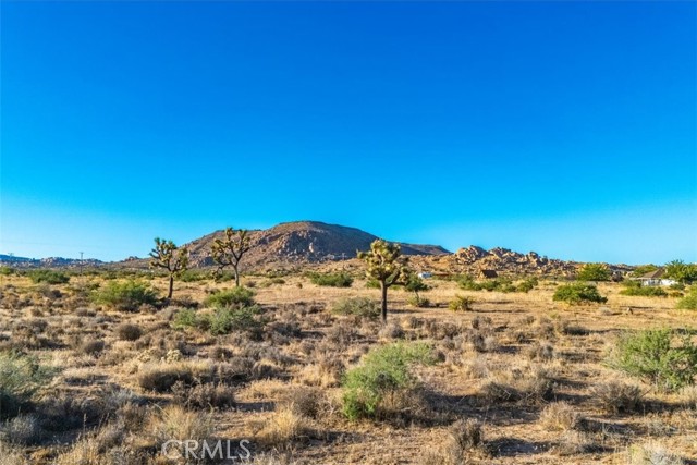 Detail Gallery Image 11 of 15 For 1 Pipes Canyon Road, Pioneertown,  CA 92268 - – Beds | – Baths