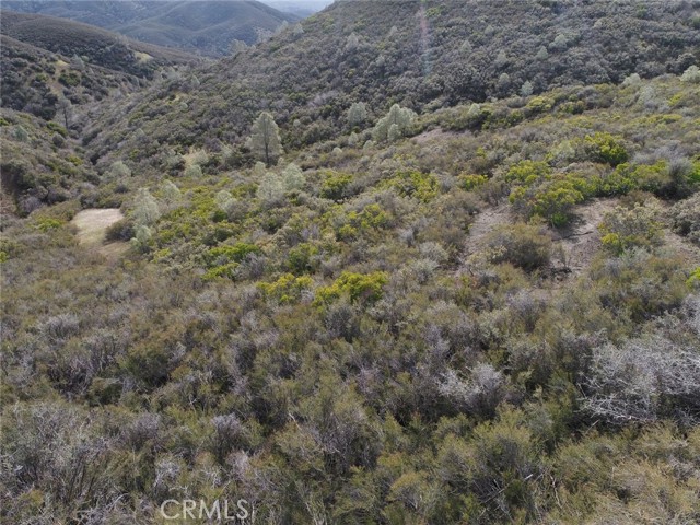 982 Watertrough Road, Clearlake Oaks, California 95423, ,Land,For Sale,982 Watertrough Road,CRLC24032287