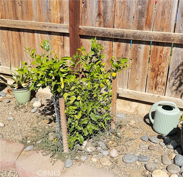 Detail Gallery Image 54 of 63 For 30912 Tadpole St, Visalia,  CA 93291 - 3 Beds | 2 Baths