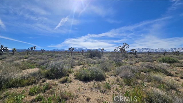 Detail Gallery Image 44 of 50 For 0 Fort Tejon Rd Vicinity 181st St E, Llano,  CA 93544 - – Beds | – Baths