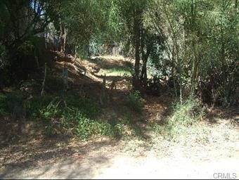 0 EUCALYPTUS Avenue, Lake Elsinore, CA 92532
