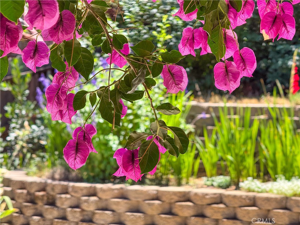 https://media.crmls.org/medias/8ff631c5-94f8-4730-8e9d-7550b6007e31.jpg?preset=X-Large