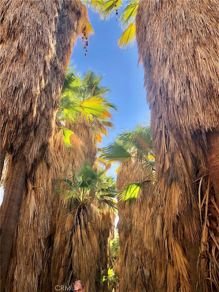 MLS #NP25217101 image #48