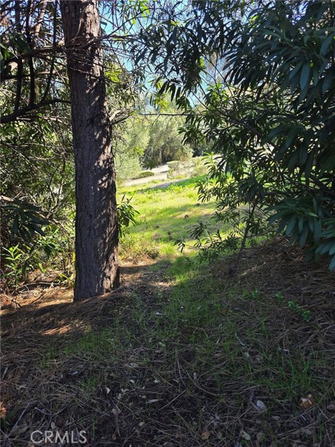 Front Image Thumbnail for CRLC26047098