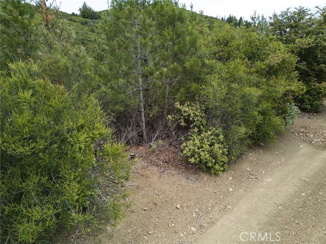 Detail Gallery Image 21 of 23 For 0 Maymens Flat Rd, Los Gatos,  CA 95033 - – Beds | – Baths