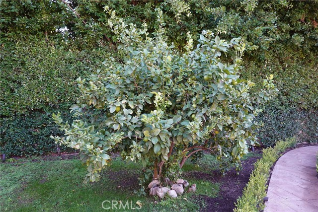 Detail Gallery Image 20 of 20 For 1727 Hiawatha Dr a,  Glendale,  CA 91208 - 2 Beds | 2 Baths