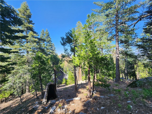 Detail Gallery Image 7 of 20 For 0 Pyramid Dr, Lake Arrowhead,  CA 92352 - – Beds | – Baths