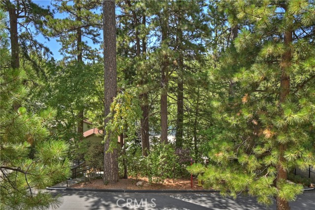 27821 Peninsula Drive #332, Lake Arrowhead CA: https://media.crmls.org/medias/901dd569-9d15-4b59-b15f-b785393f9ed3.jpg