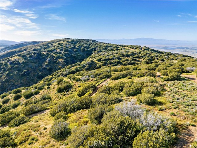 Detail Gallery Image 23 of 30 For 48725 Shallow Springs Road, Leona Valley,  CA 93551 - – Beds | – Baths