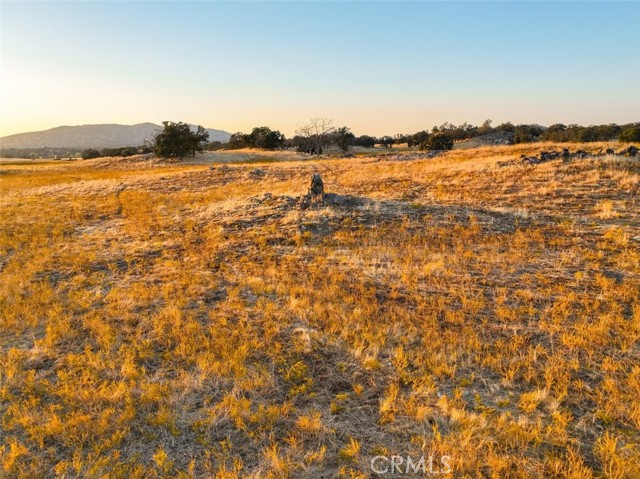 Detail Gallery Image 16 of 39 For 2553 Old Highway, Catheys Valley,  CA 95306 - – Beds | – Baths