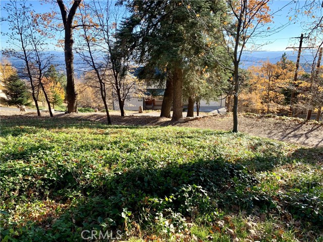 Detail Gallery Image 12 of 21 For 40 Park, Running Springs,  CA 92382 - – Beds | – Baths