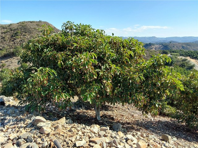 Detail Gallery Image 16 of 38 For 3 via Vaquero, Temecula,  CA 92590 - – Beds | – Baths