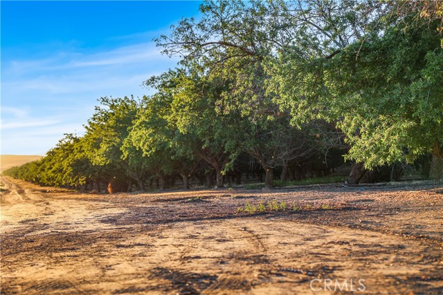 Detail Gallery Image 24 of 33 For 0 I5/Shields, Firebaugh,  CA 93622 - – Beds | – Baths