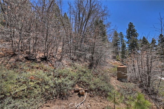 Detail Gallery Image 23 of 26 For 33653 Green Valley Ln, Green Valley Lake,  CA 92341 - 1 Beds | 1 Baths