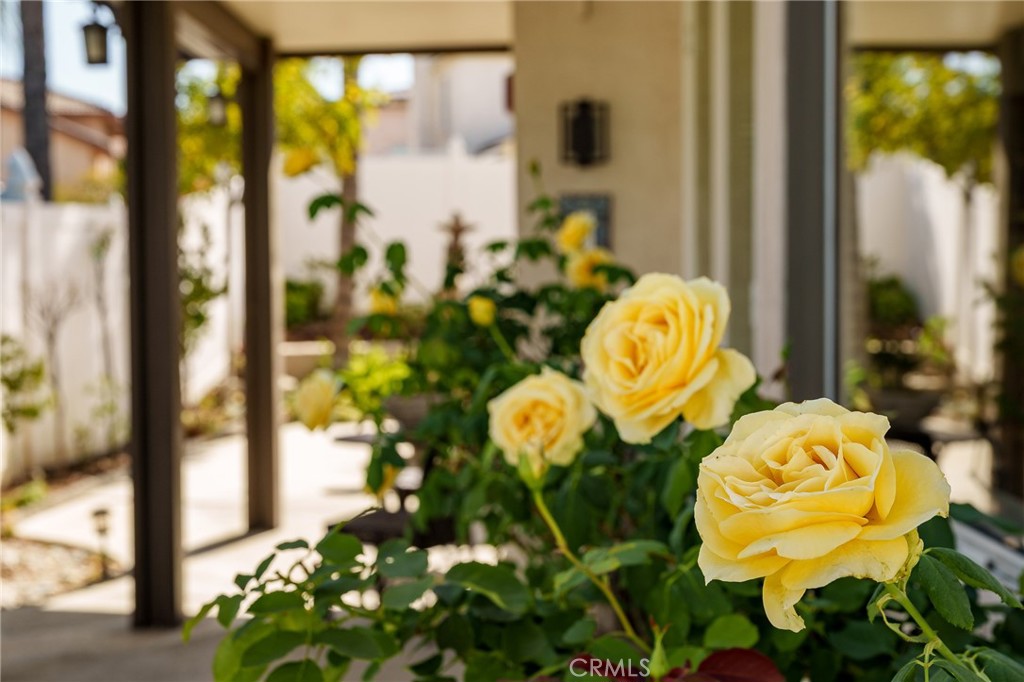 https://media.crmls.org/medias/904a88a3-2227-4a67-90fb-6f65fcda0818.jpg?preset=X-Large