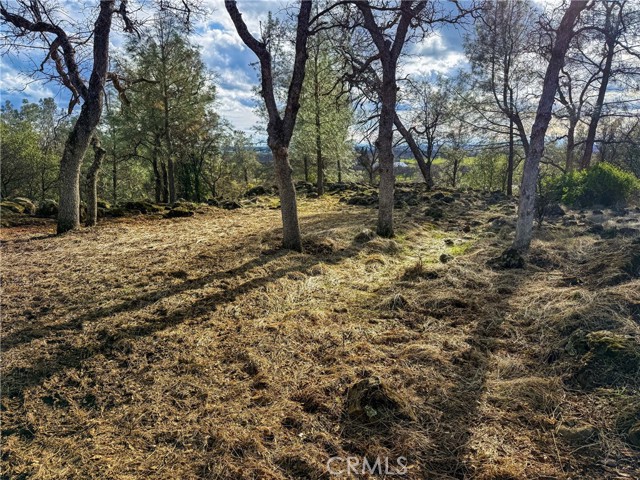 Detail Gallery Image 9 of 16 For 0 Grindstone, Chico,  CA 95973 - – Beds | – Baths