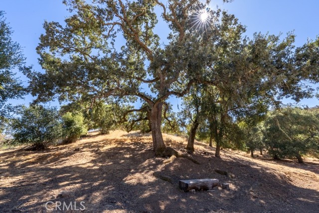 Detail Gallery Image 46 of 65 For 11300 Santa Lucia Rd, Atascadero,  CA 93422 - 4 Beds | 3/1 Baths