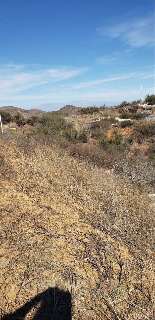 MLS #IV25264641 image #6