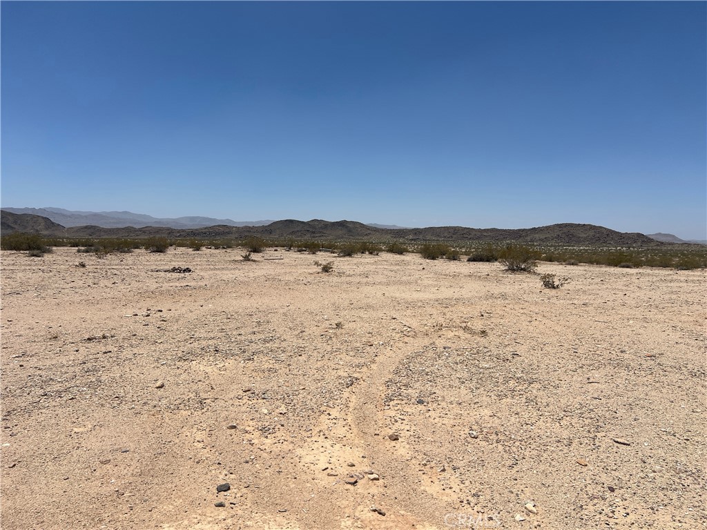 MLS #HD25137841 image #6