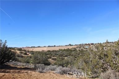 MLS #MB26132325 image #6