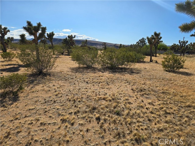 Detail Gallery Image 1 of 18 For 0 Long View, Yucca Valley,  CA 92284 - – Beds | – Baths