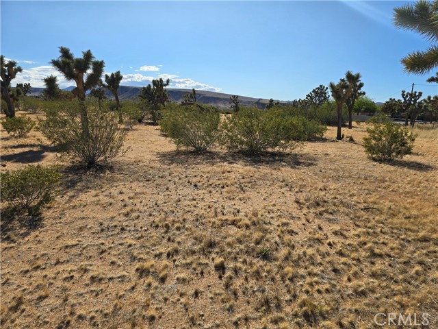 Detail Gallery Image 1 of 18 For 0 Long View, Yucca Valley,  CA 92284 - – Beds | – Baths