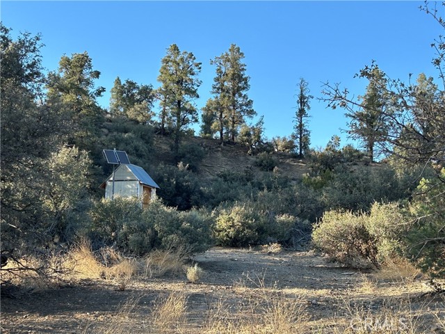 16469 Curtis Trail, Frazier Park CA: https://media.crmls.org/medias/90665007-7d3b-4c66-aa90-be044f6b7472.jpg