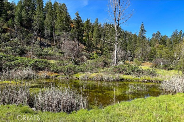 Detail Gallery Image 19 of 35 For 1271 Lake, –,  CA 96048 - – Beds | – Baths