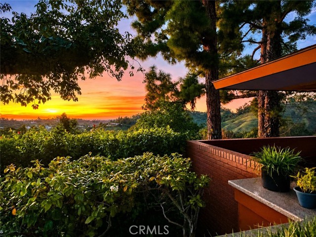 540 Reposado Drive photo 15