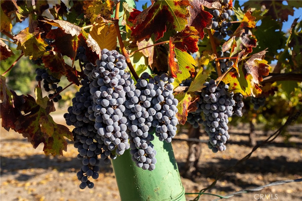 MLS #NS25262417 image #11