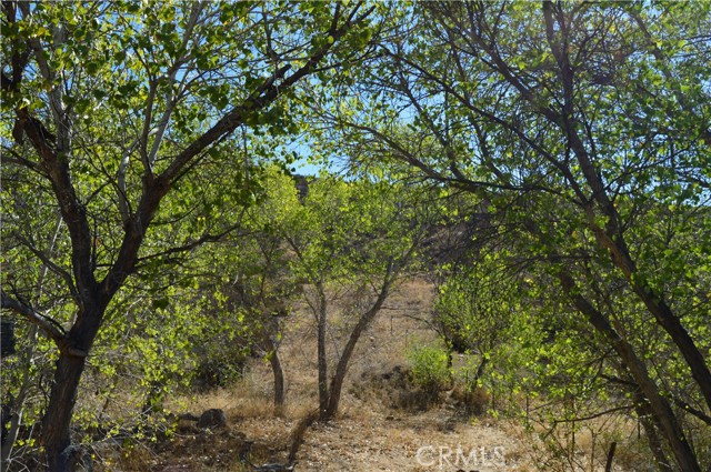 2 Los Altos Rd., Hemet, CA, 92544 2 Los Altos Rd., Hemet, CA, 92544