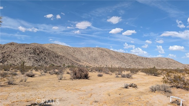 Front Image Thumbnail for CRIG26184452