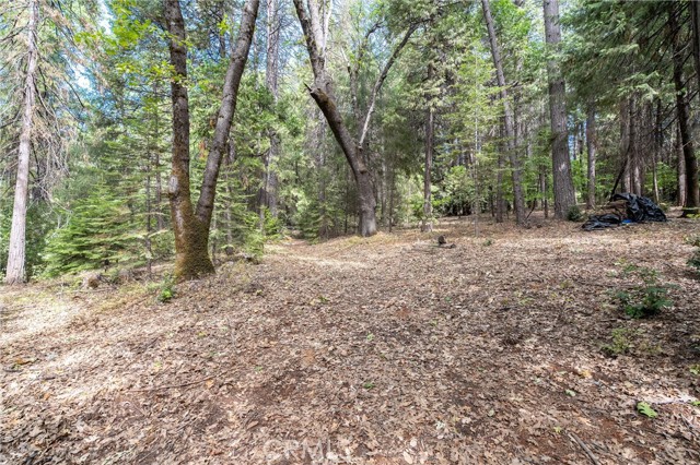 Detail Gallery Image 40 of 47 For 5245 Headwaters Rd, Forest Ranch,  CA 95942 - 2 Beds | 1 Baths
