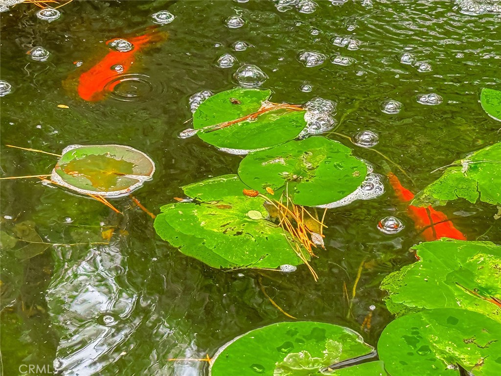 https://media.crmls.org/medias/907bac5a-7be8-4413-b5ed-7ebcd438a07e.jpg?preset=X-Large