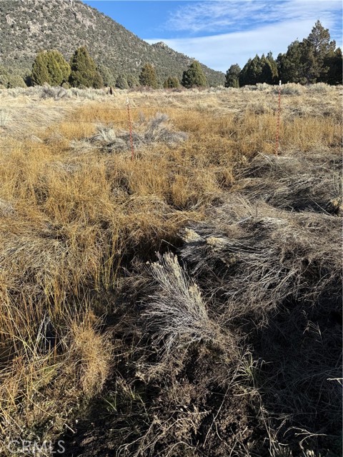 Detail Gallery Image 7 of 10 For 0 310-190-028 Sacatar Ranch Rd, –,  CA 93527 - – Beds | – Baths