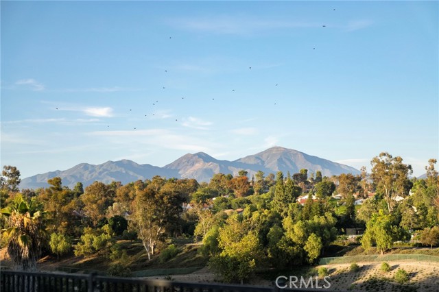 Detail Gallery Image 35 of 39 For 24362 via Santa Clara, Mission Viejo,  CA 92692 - 4 Beds | 3/1 Baths
