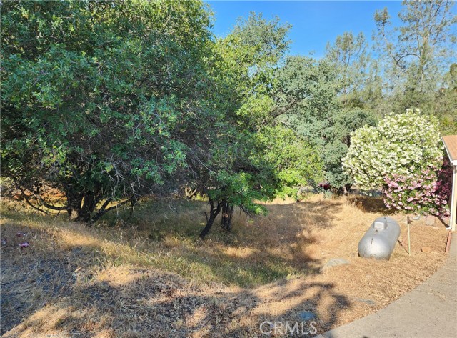 0 La Foret Drive, Oroville, California 95966, ,Land,For Sale,0 La Foret Drive,CROR23098083