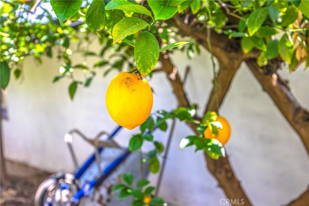 https://media.crmls.org/medias/908f7918-d224-45c7-97d3-d3a1d05e83e4.jpg?preset=X-Large