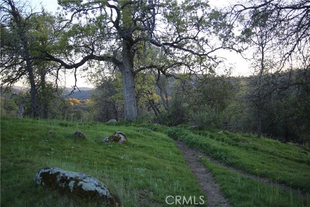 Detail Gallery Image 6 of 14 For 18 Unassigned Usona Rd., Mariposa,  CA 95338 - – Beds | – Baths