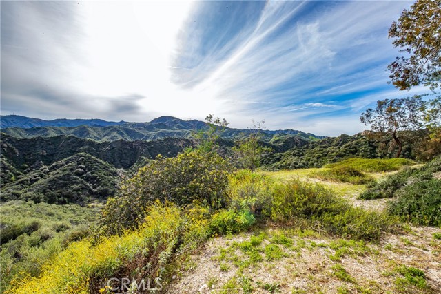 Image 6 of 31 For 24910 Chicory Court