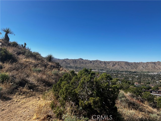 0 Golden Bee Drive, Yucca Valley, California 92284, ,Land,For Sale,0 Golden Bee Drive,CRJT23172613