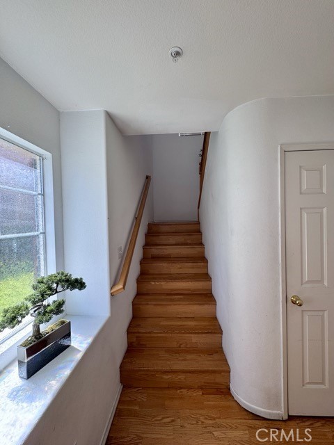 33423 Winston Way, Temecula CA: https://media.crmls.org/medias/90a4fbe2-73ab-4880-9227-9d39e3a1a49c.jpg