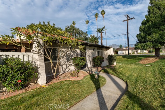Detail Gallery Image 6 of 31 For 1592 Christopher Ln, Redlands,  CA 92374 - 2 Beds | 2 Baths