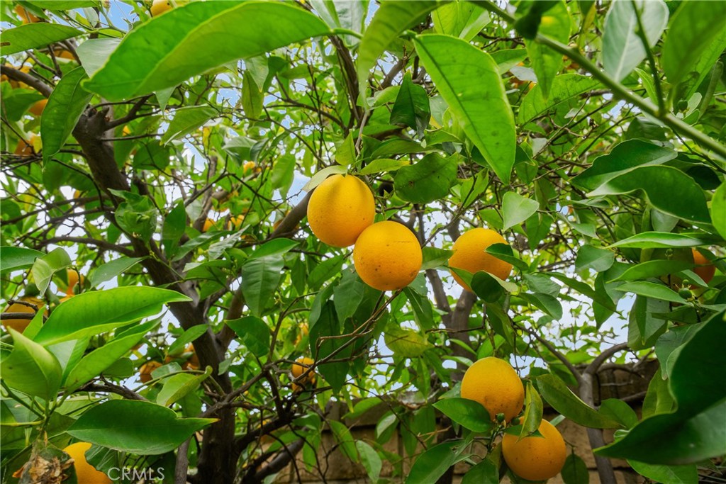 https://media.crmls.org/medias/90aa7600-cfdc-42eb-b748-2b12b7c6e263.jpg?preset=X-Large
