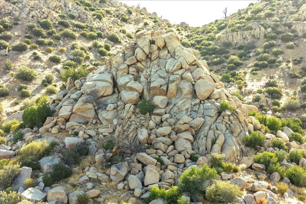 MLS #JT25254315 image #36