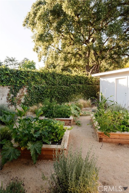 4367 Rising Hill Road, Altadena CA: https://media.crmls.org/medias/90b6479d-8c6a-4485-b7c4-6c8dc21700f2.jpg