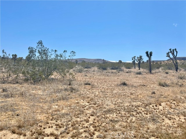 Detail Gallery Image 12 of 19 For 20 Acres, Yucca Valley,  CA 92285 - – Beds | – Baths