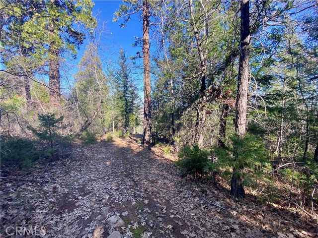 Detail Gallery Image 15 of 21 For 10130 Seigler Springs North, Kelseyville,  CA 95451 - – Beds | – Baths