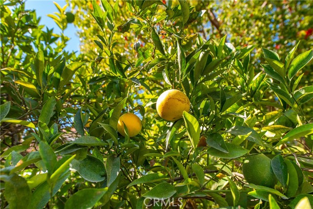 Detail Gallery Image 50 of 63 For 4304 Timberdale Rd, Moorpark,  CA 93021 - 4 Beds | 2/1 Baths