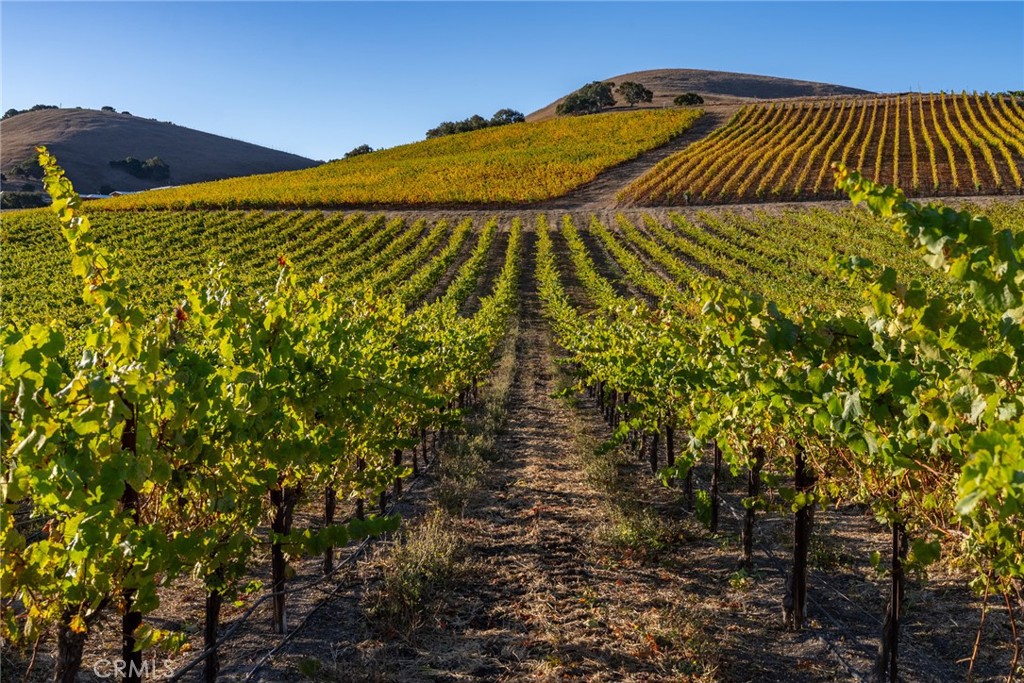 MLS #NS25194884 image #67